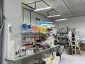 Строительный магазин · 100 м² за 12 млн ₸ в Астане, Есильский р-н — фото 6