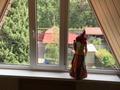 Отдельный дом · 5 комнат · 350 м² · 14 сот., Лесная 37 А за 155 млн ₸ в Алматы — фото 10