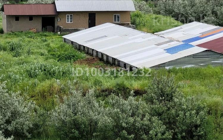 Участок · 2 га, Ннн за 50 млн ₸ в  — фото 2