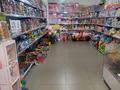 Действующий бизнес, магазин игрушек, в ТД., 30 м² за ~ 5 млн 〒 в Астане, Сарыарка р-н — фото 7