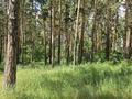 Отдельный дом · 5 комнат · 344.4 м² · 10 сот., ул. Ак-Жайык 16 за ~ 150 млн ₸ в Акмолинской обл.