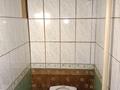 Отдельный дом · 3 комнаты · 60 м² · 6 сот., Высоковольтная — Пушкина за 13.5 млн ₸ в Усть-Каменогорске — фото 19