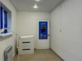 Жеке үй · 4 бөлме · 160 м² · 2.35 жүзд., Гоголя 117/2, бағасы: 28 млн ₸ в Костанае — фото 10