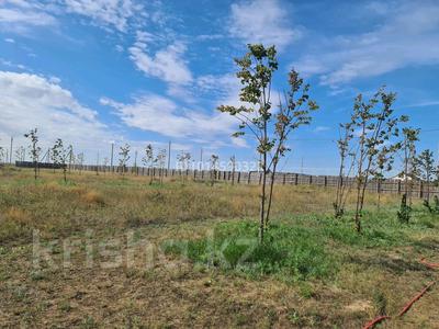 Участок · 10 соток, Сәбит Мұқанов 127 за 10 млн ₸ в Косшы