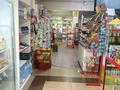 Магазины и бутики · 89.3 м² за 60 млн ₸ в Туздыбастау (Калинино) — фото 6