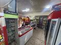 Магазины и бутики · 89.3 м² за 65 млн 〒 в Туздыбастау (Калинино) — фото 6