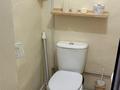 Дача · 1 комната · 90 м², Коклайсай за 100 000 ₸ в Кок-лай-сае — фото 11