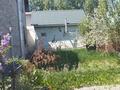 Свободное назначение, офисы, магазины и бутики, салоны красоты · 280 м² за 1.1 млн ₸ в Алматы, Алатауский р-н — фото 15