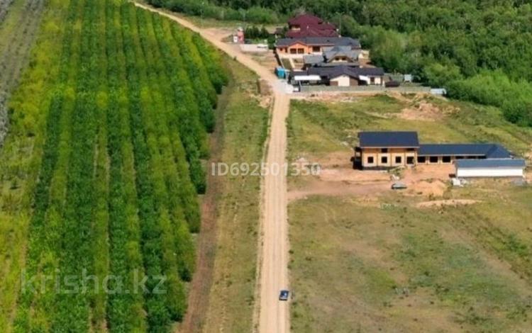 Жер телімі · 25 сотық, Мира — Коммерческого назначения, бағасы: 37 млн ₸ в Аккайын — фото 21