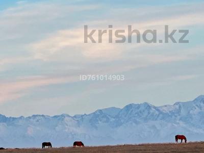 Участок · 1000 га, 15 км. трасса Конаев-Курты — 15 км. трасса Конаев-Курты за 170 млн 〒