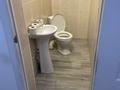 Отдельный дом · 4 комнаты · 170 м² · 6 сот., Мермухамедова — Магазин Кульпаш за 75 млн ₸ в Туздыбастау (Калинино) — фото 14