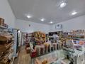Магазины и бутики • 160 м² за 57 млн 〒 в Астане, Сарыарка р-н — фото 3