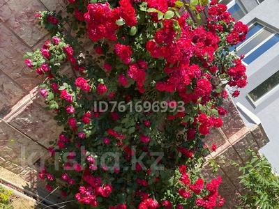 Отдельный дом · 4 комнаты · 450 м² · 10 сот., 15-й мкр самал за 230 млн 〒 в Актау