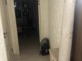 2-комнатная квартира · 65 м² · 3/6 этаж, мкр Кокжиек 35 за 350 000 ₸ в Алматы, Жетысуский р-н — фото 10