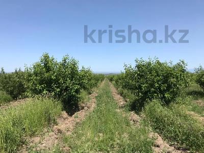 Порно әйелі кончил