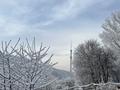 Участок · 25 соток, мкр Кольсай за 175 млн ₸ в Алматы, Медеуский р-н