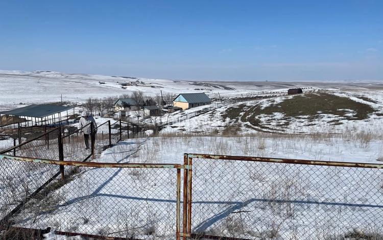 Фазенда · 2000 м² за 80 млн 〒 в Кольащах — фото 2