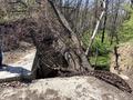 Участок · 9 соток, Оспанова за 120 млн ₸ в Алматы, Медеуский р-н — фото 10