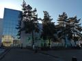 Дүкендер мен бутиктер · 80 м², бағасы: 640 000 ₸ в Узынагаш — фото 28
