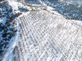 Участок · 3 га, Талгар за 80 млн ₸ — фото 6