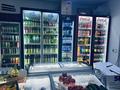 Готовый бизнес · 90 м² за 12 млн ₸ в Алматы, Наурызбайский р-н — фото 2