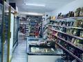 Готовый бизнес · 90 м² за 12 млн ₸ в Алматы, Наурызбайский р-н — фото 22