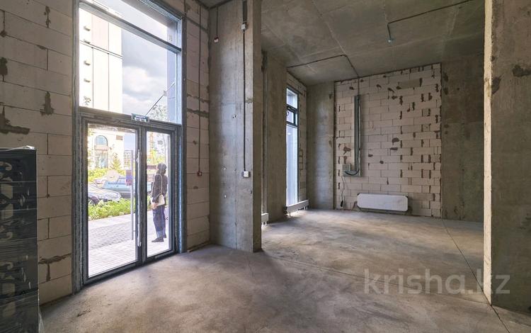 Еркін · 163 м², бағасы: 250 млн ₸ в Астане, Есильский р-н — фото 11