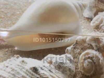 1-бөлмелі пәтер · 39 м² · 2/4 қабат, Горный Гигант ш/а., З.Шашкина 21 — Аль-Фараби уг. З.Шашкина, бағасы: 280 000 ₸ в Алматы, Медеуский р-н
