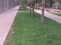 3-бөлмелі пәтер · 71.8 м² · 6/9 қабат, мкр Аксай-2 39 — Момушулы -маргулан, бағасы: 49.5 млн ₸ в Алматы, Ауэзовский р-н — фото 28