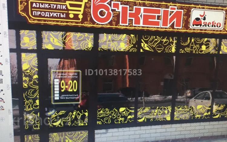 Магазины и бутики · 45 м² за 200 ₸ в Петропавловске — фото 3