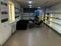 Магазины и бутики, склады · 255.3 м² за 33 млн ₸ в Талдыкоргане — фото 4