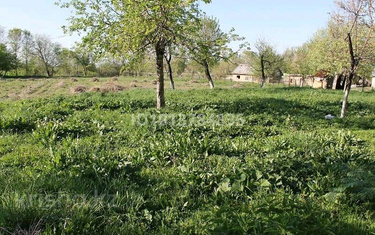 Жер телімі · 10 сотық, Терехина 1, бағасы: 5 млн ₸ в Турген — фото 2