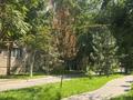 3-бөлмелі пәтер · 60 м² · 5/5 қабат, 8 мкр 53, бағасы: 19 млн ₸ в Шымкенте — фото 6