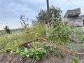 Участок · 20 соток, ПК Горный Гигант 2899 — Парк-отель Apple Resort за ~ 28.6 млн ₸ в Алматы — фото 6