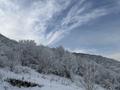Участок · 20 соток, ПК Горный Гигант 2899 — Парк-отель Apple Resort за ~ 28.6 млн ₸ в Алматы — фото 14