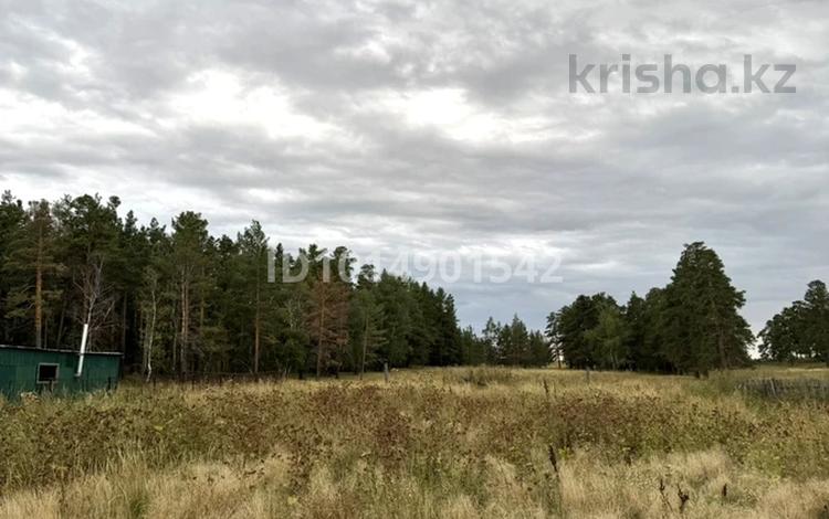 Часть дома · 3 комнаты · 60 м² · 20 сот., Момышулы 51 за 10 млн ₸ в Буланды — фото 3