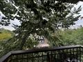 2-комнатная квартира · 42 м² · 4/4 этаж, Манаса 52 за 345 000 ₸ в Алматы, Бостандыкский р-н — фото 12