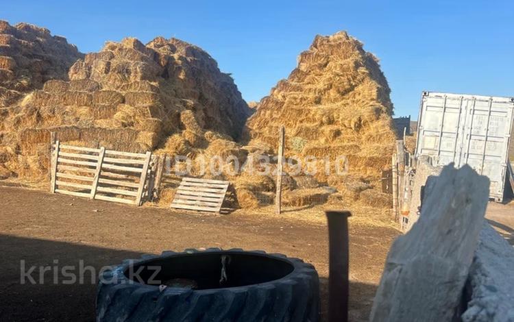 Участок · 100 га, Бурлы-Жолбарыс за 29 млн ₸ в  — фото 2