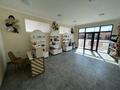 Свободное назначение · 60 м² за 350 000 ₸ в Атырау, мкр. Алмагуль
