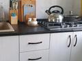 3-комнатная квартира · 60 м², Иляева 22 — Байтурсынова и Конаева за 25 млн ₸ в Шымкенте — фото 8