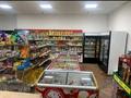 Свободное назначение · 252 м² за 60 млн ₸ в Кокшетау — фото 7