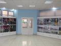 Магазины и бутики • 341.1 м² за 140 млн 〒 в Петропавловске — фото 2