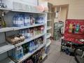 Магазины и бутики · 60 м² за 28.9 млн ₸ в Усть-Каменогорске, Ульбинский — фото 8