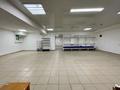 Еркін · 105 м², бағасы: 500 000 ₸ в Астане, Есильский р-н — фото 3