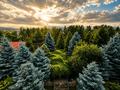 Жеке үй · 8 бөлме · 760 м² · 35.5 жүзд., Достык, бағасы: 2.8 млрд ₸ в Алматы, Медеуский р-н — фото 2