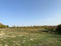 Жер телімі · 4.75 га, Жаскешу, бағасы: 75 млн ₸ — фото 10