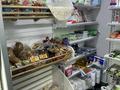 Готовый бизнес продуктовый магазин · 110 м², бағасы: 25 млн ₸ в Астане, Сарайшык р-н — фото 18