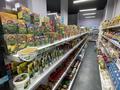 Готовый бизнес продуктовый магазин · 110 м², бағасы: 25 млн ₸ в Астане, Сарайшык р-н — фото 23