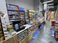 Готовый бизнес продуктовый магазин · 110 м², бағасы: 25 млн ₸ в Астане, Сарайшык р-н — фото 5