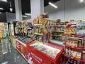 Готовый бизнес продуктовый магазин · 110 м², бағасы: 25 млн ₸ в Астане, Сарайшык р-н — фото 7